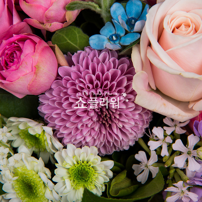 상세이미지