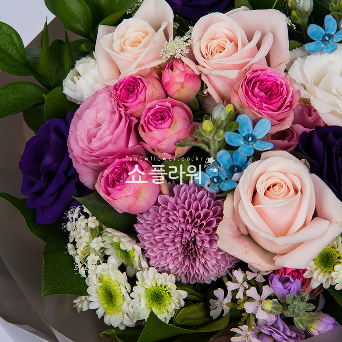 상세이미지