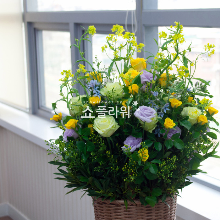 상세이미지