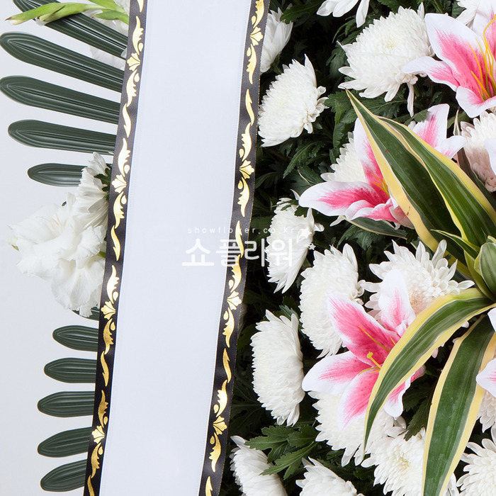 상세이미지