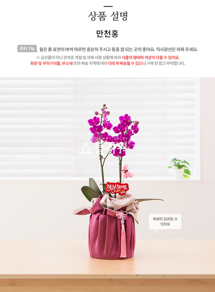 상세이미지