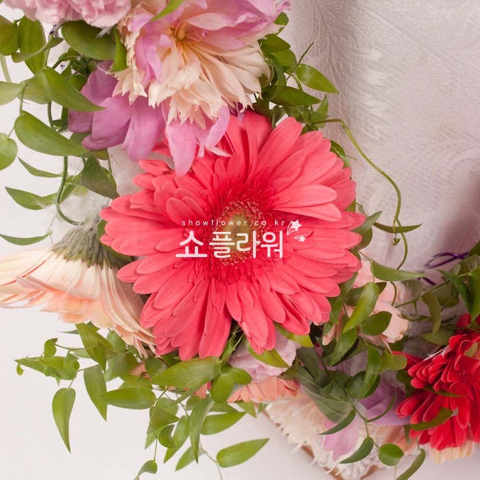 상세이미지