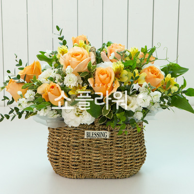 노랑풍선