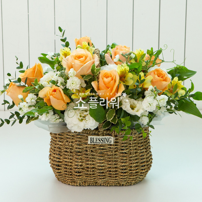 상세이미지