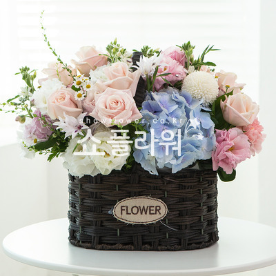 기쁨가득