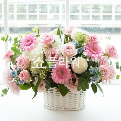핑크엔젤