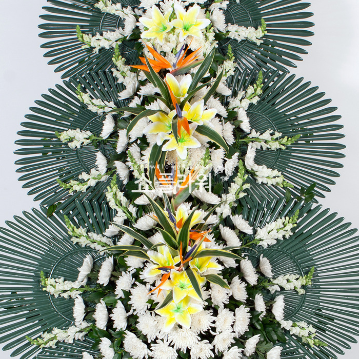 상세이미지