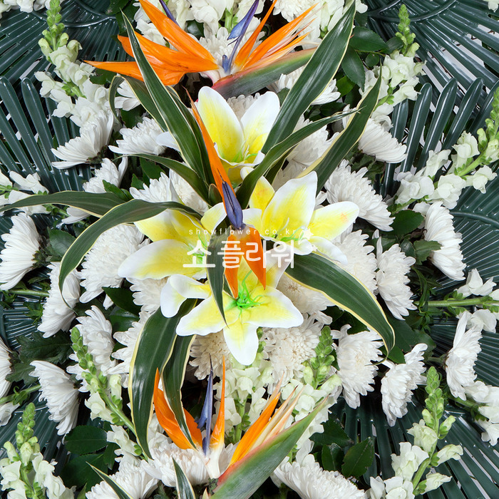 상세이미지