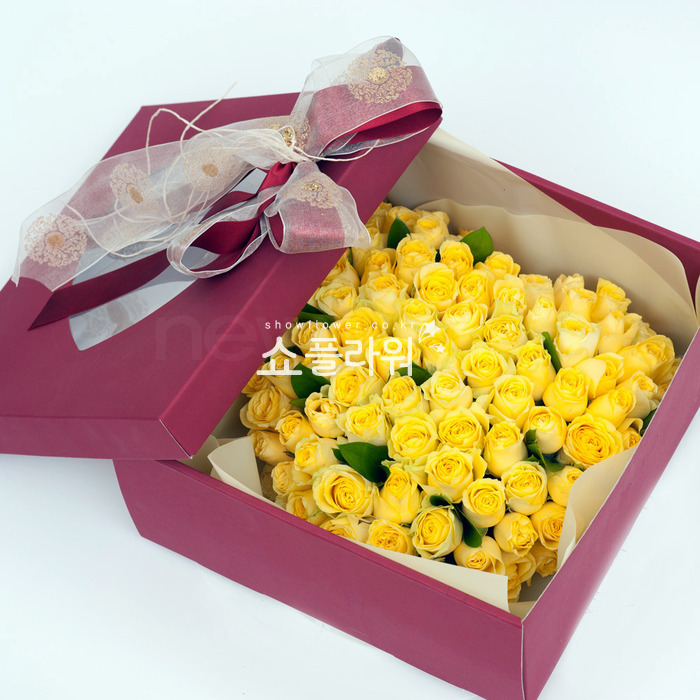 상세이미지