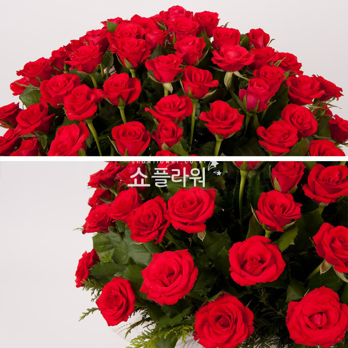 상세이미지