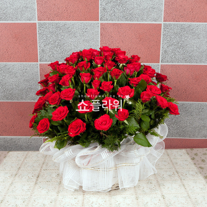 상세이미지