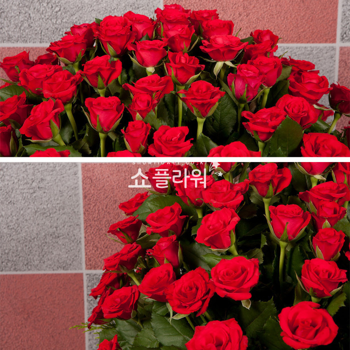상세이미지