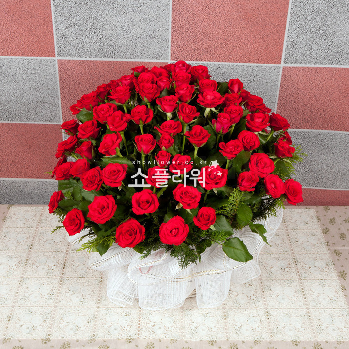 상세이미지