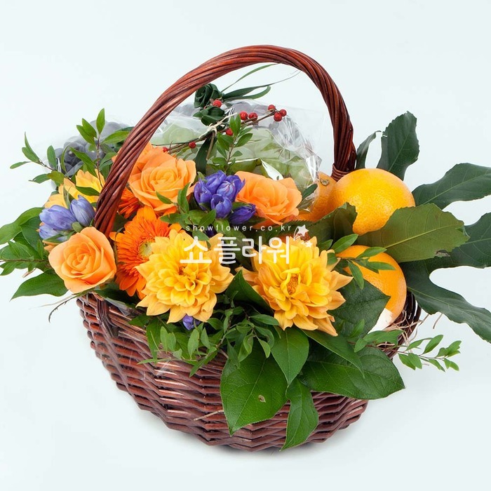 상세이미지