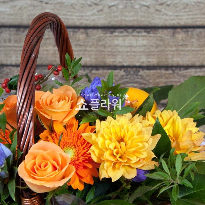 상세이미지