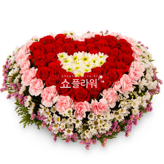 상세이미지