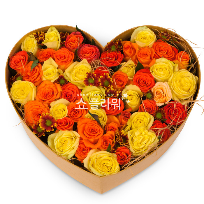 상세이미지