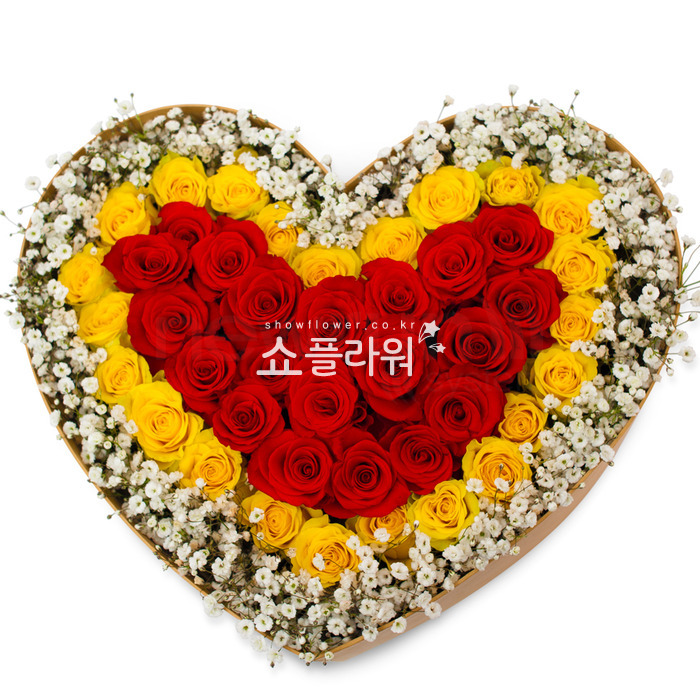 상세이미지