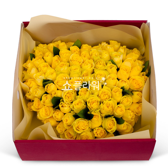 상세이미지