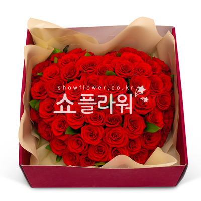 사랑의마력