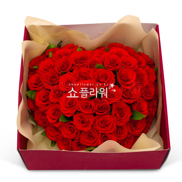 상세이미지