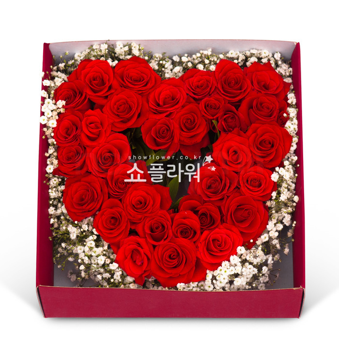 상세이미지