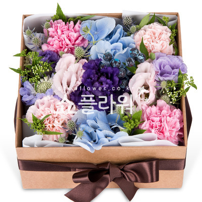 네모사랑