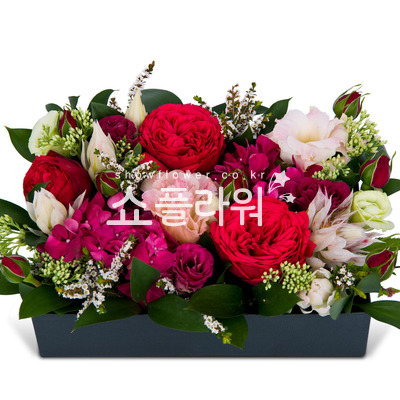 사랑을담아