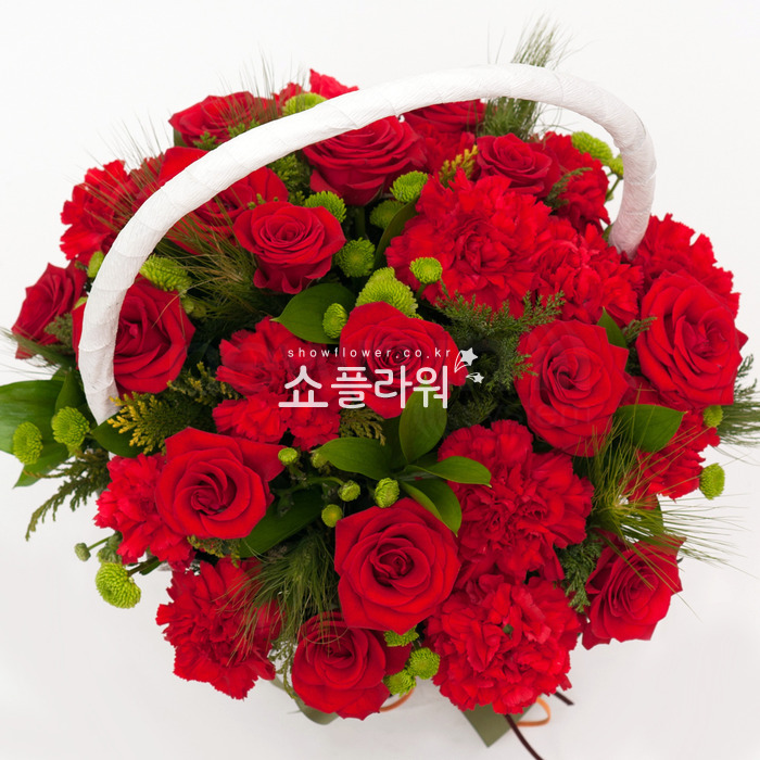 상세이미지