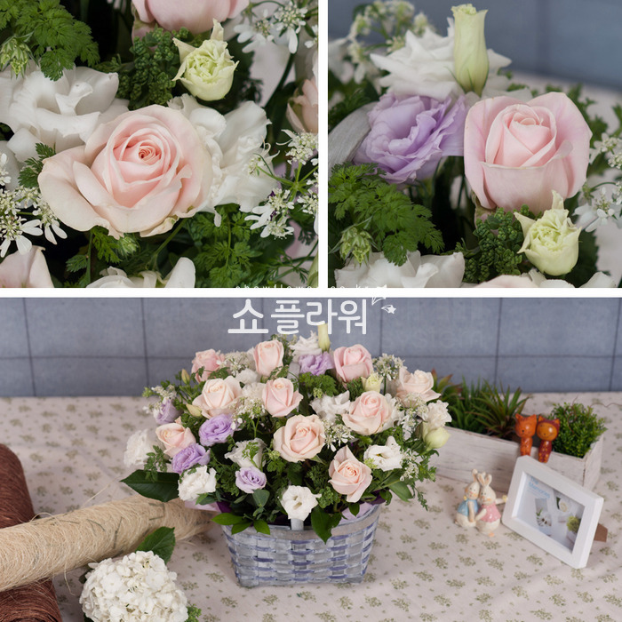 상세이미지