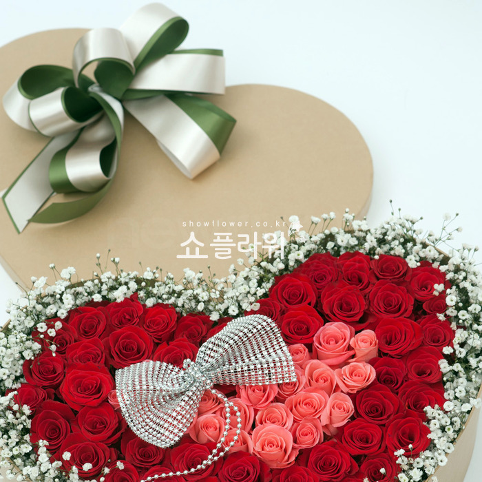 상세이미지