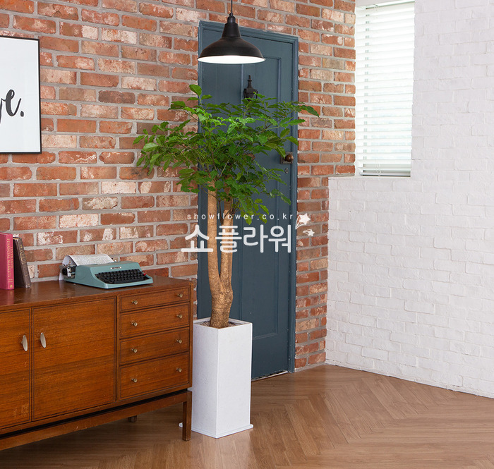 상세이미지