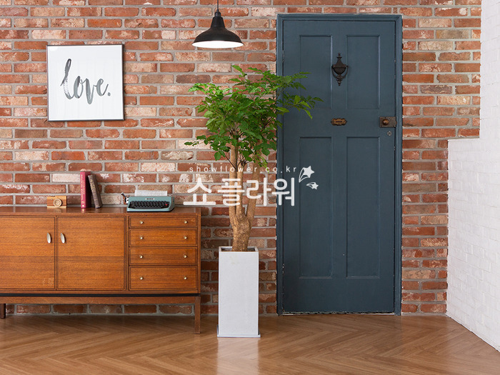 상세이미지