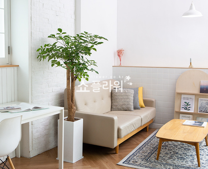 상세이미지