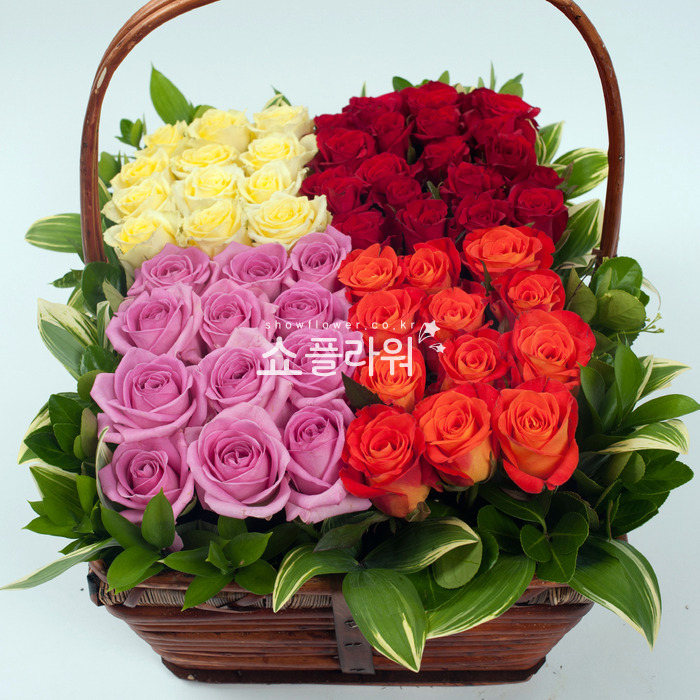 상세이미지