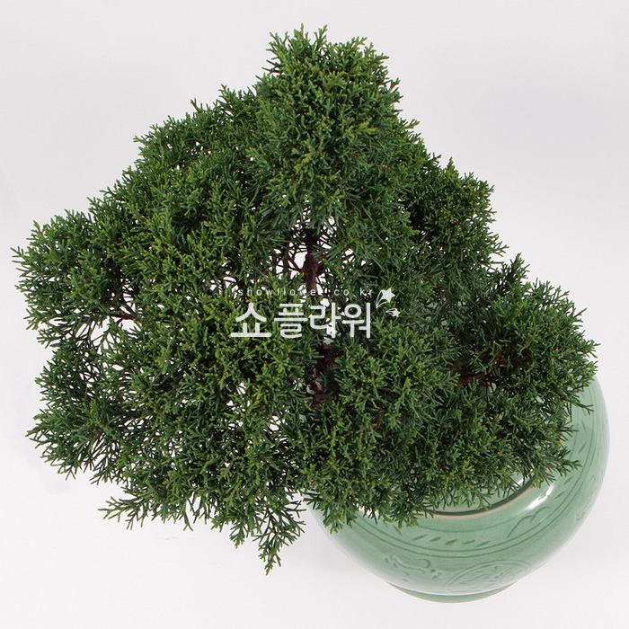 상세이미지