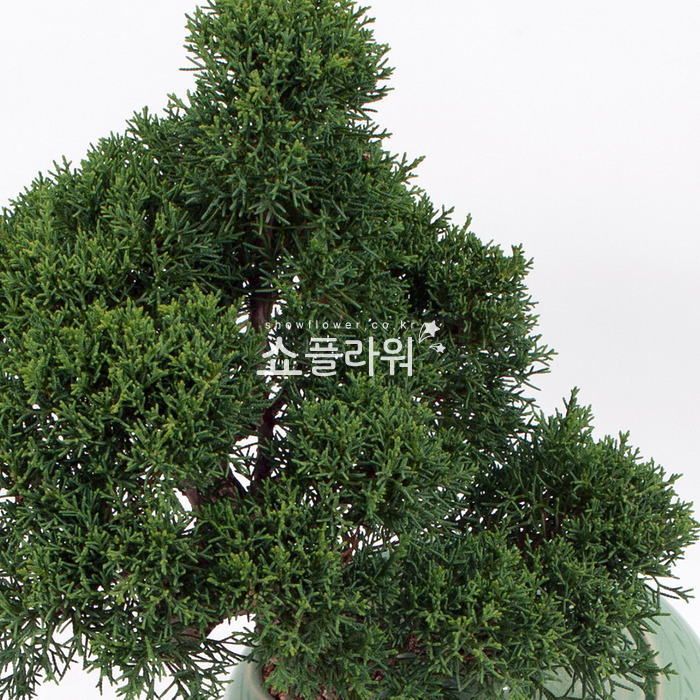 상세이미지