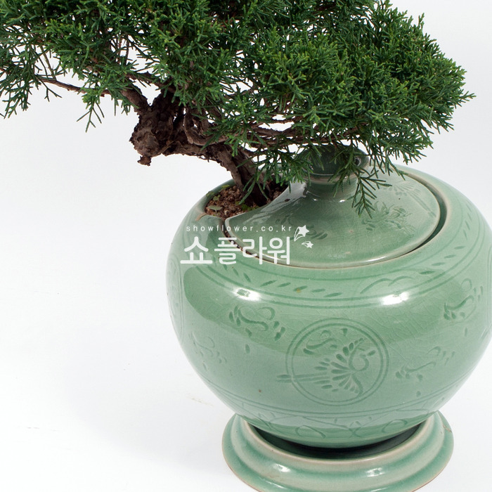 상세이미지