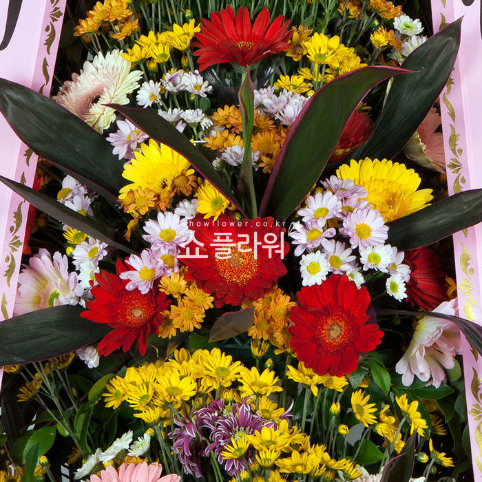 상세이미지