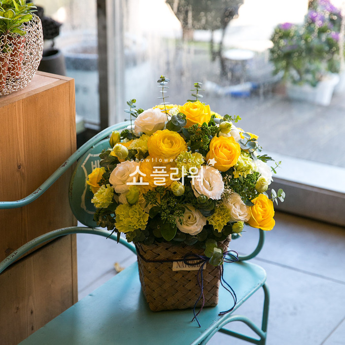 상세이미지