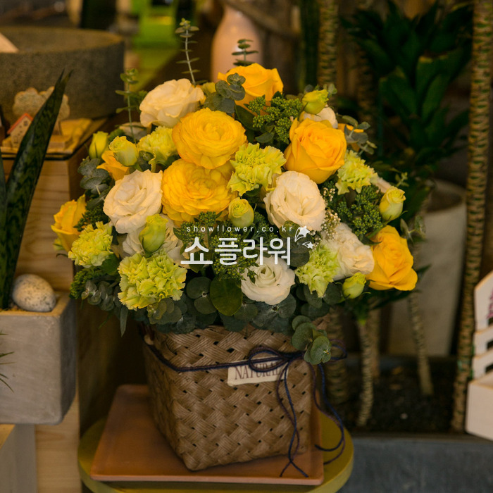 상세이미지
