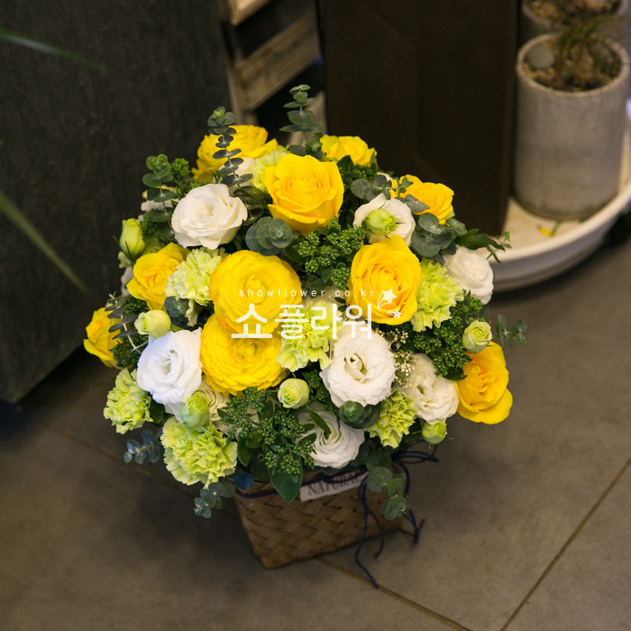 상세이미지