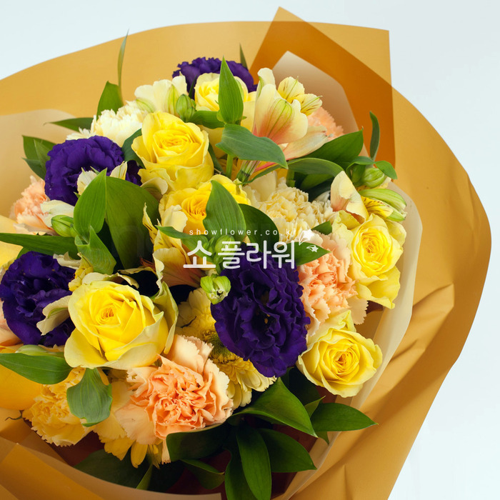 상세이미지