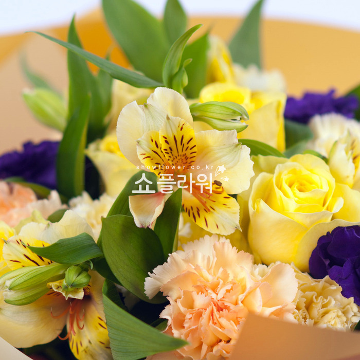 상세이미지