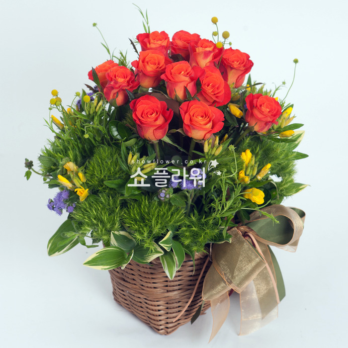 상세이미지