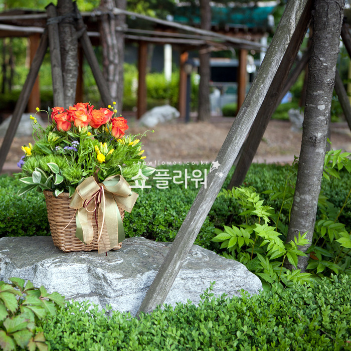 상세이미지
