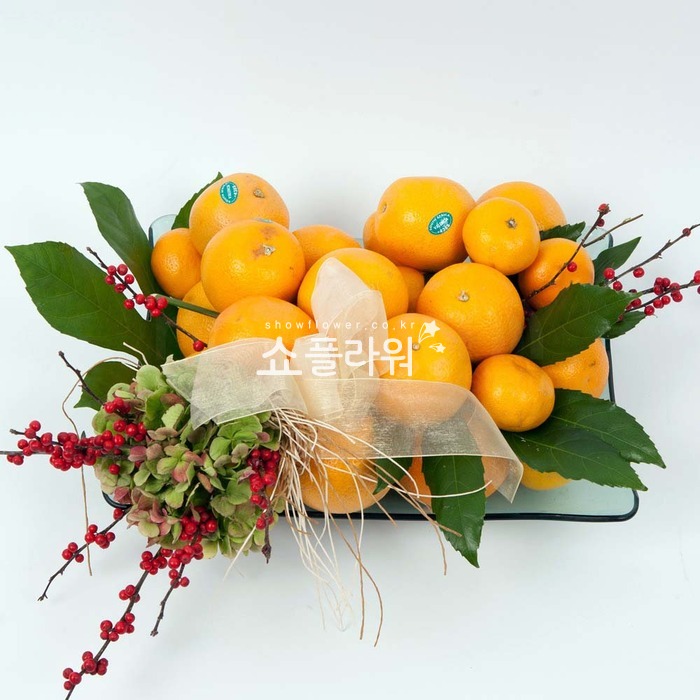 상세이미지