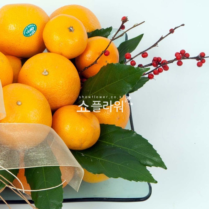 상세이미지