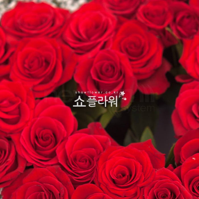 상세이미지