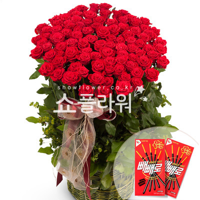 빼빼로데이 기념 백송이